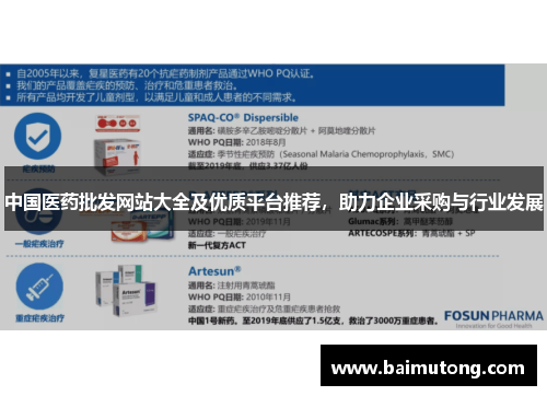 中国医药批发网站大全及优质平台推荐，助力企业采购与行业发展